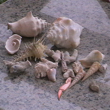 Rolety wewnętrzne Piła Piękne Markizy w Pile tanio  kamieniowanej